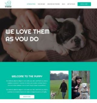 網頁設計版型19